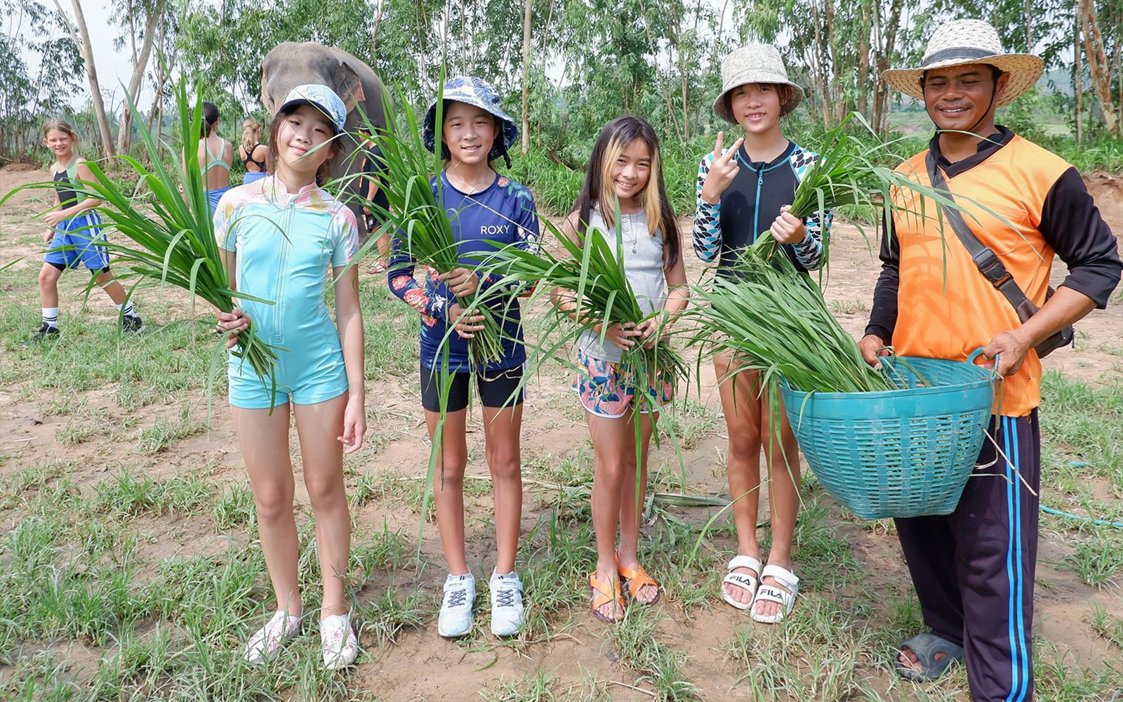 Elephant Jungle Sanctuary Tickets in Pattaya — gallery 1