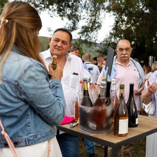 Barcelona: Guided Wine and Cava Experience — gallery 2