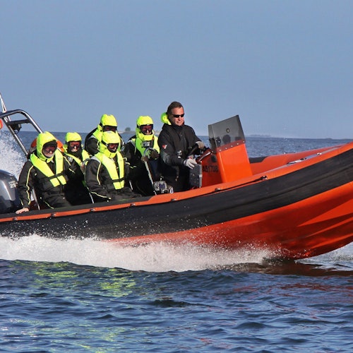 RedRib Helsinki Speedboat Tour — gallery 4
