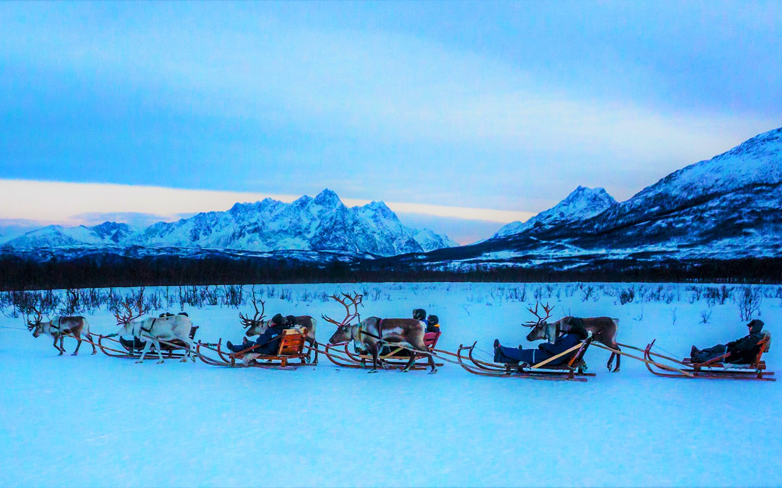 Reindeer Sledding & Sami Culture Guided Tour with Hot Drinks & Meal
