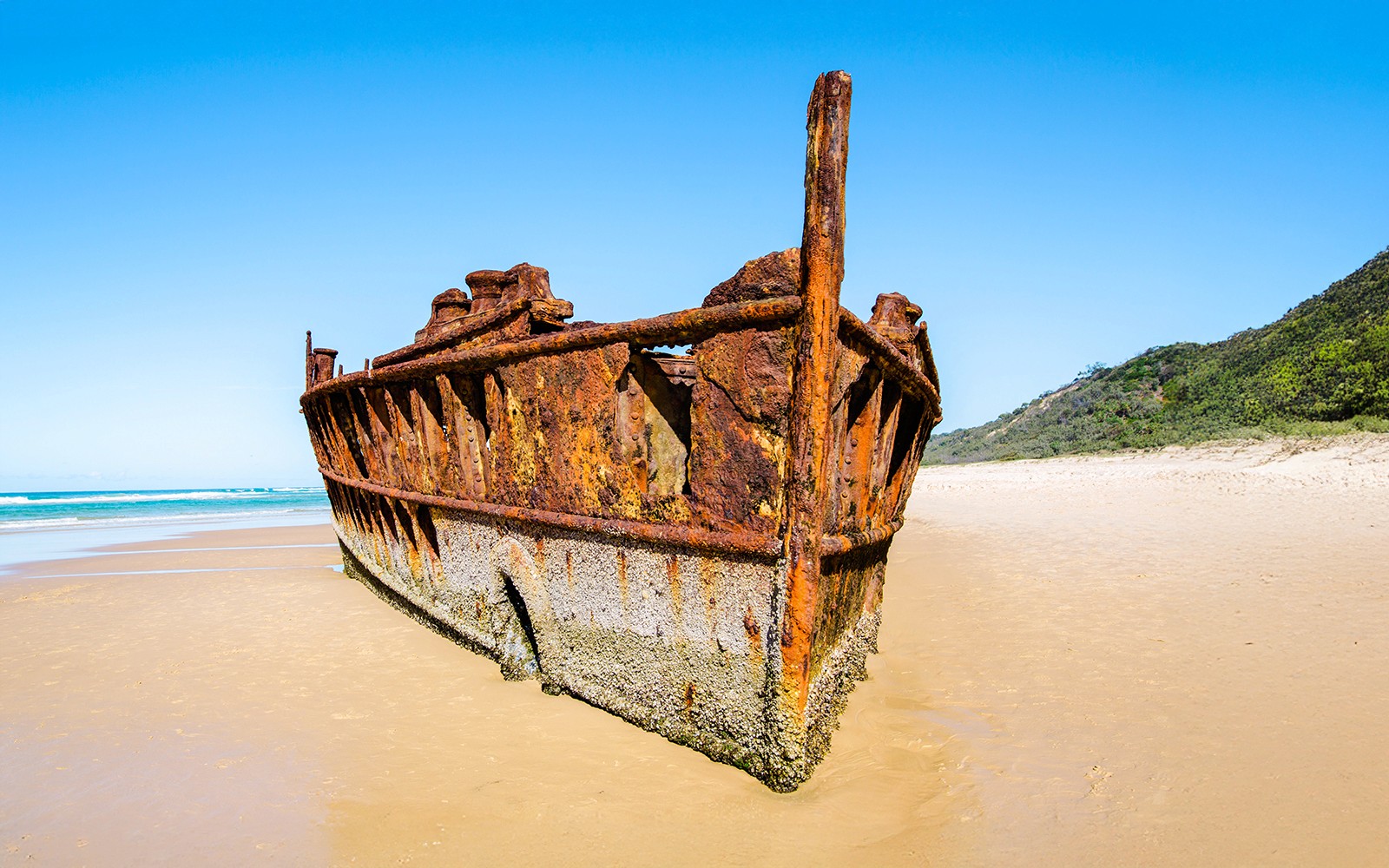 From Rainbow Beach: K'gari (Fraser Island) 1-Day Classic Tour