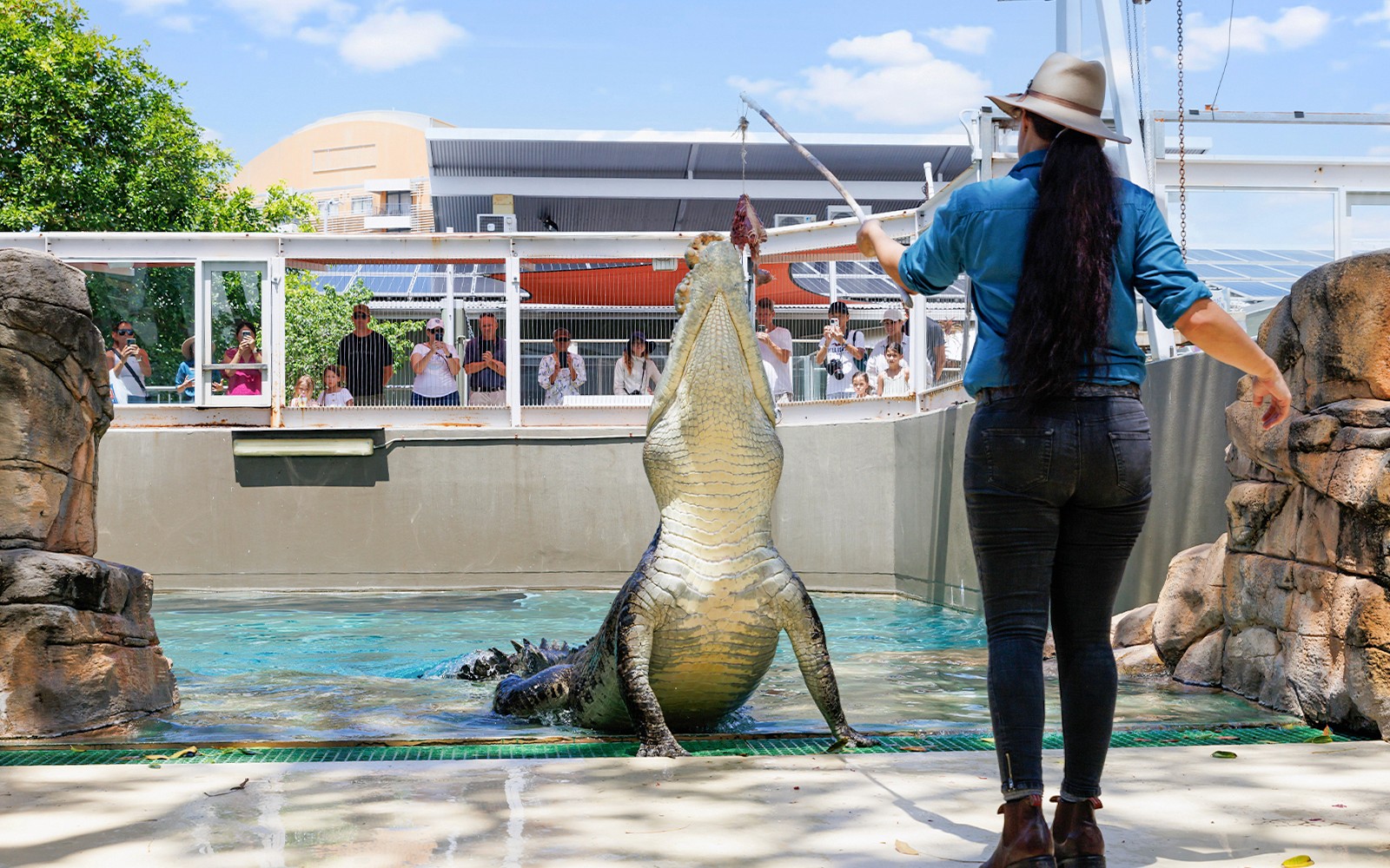 Crocosaurus Cove Tickets with Whipray Encounter