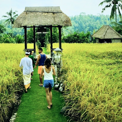 Bali Eat, Pray & Love Private Tour with Guide — gallery 3