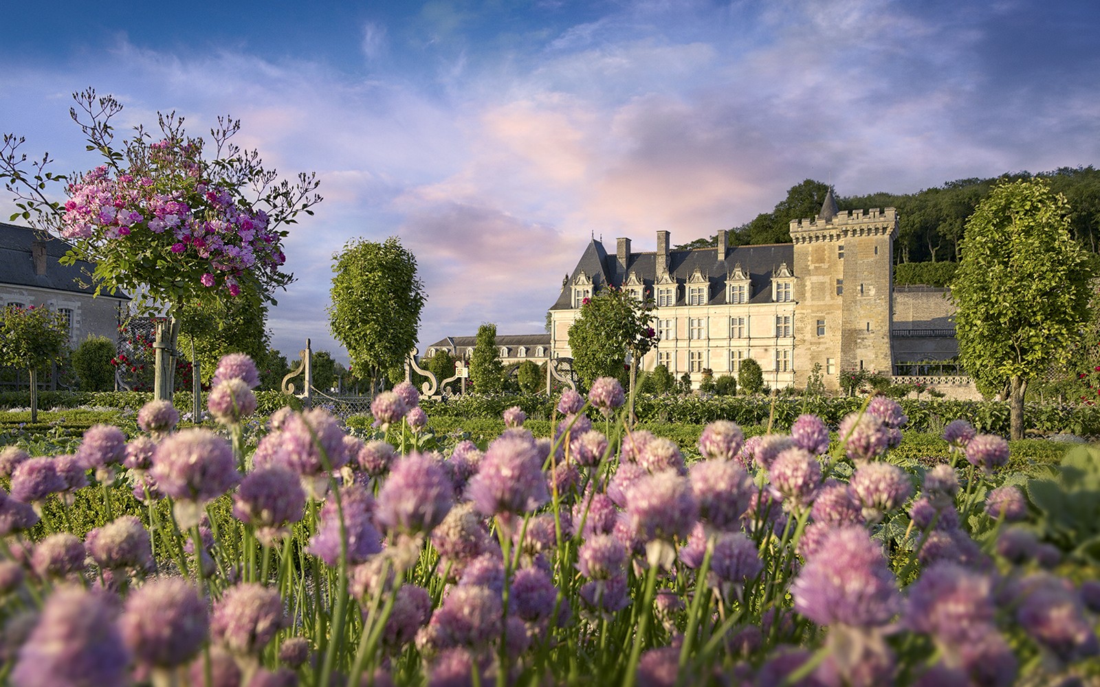 Villandry Castle Gardens-only Ticket — gallery 1