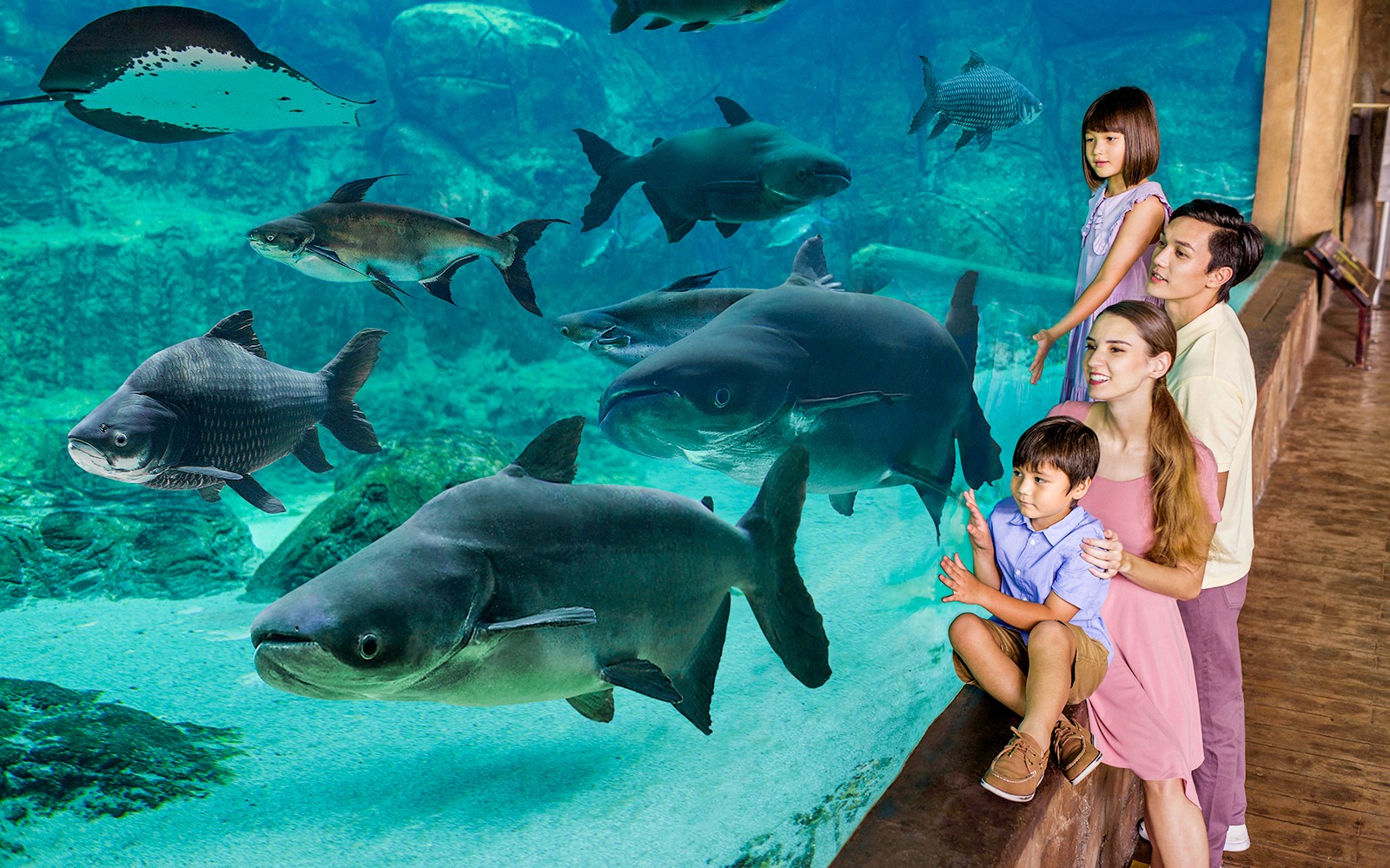 River Wonders Tickets