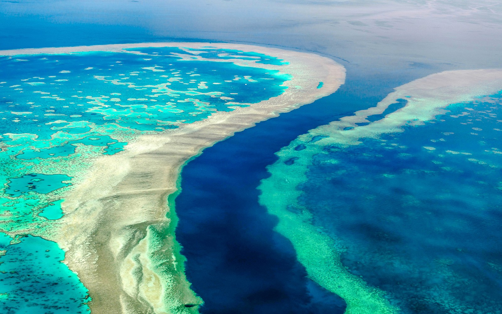 From Airlie Beach: Whitsunday Islands & Heart Reef 60-Minute Scenic Flight