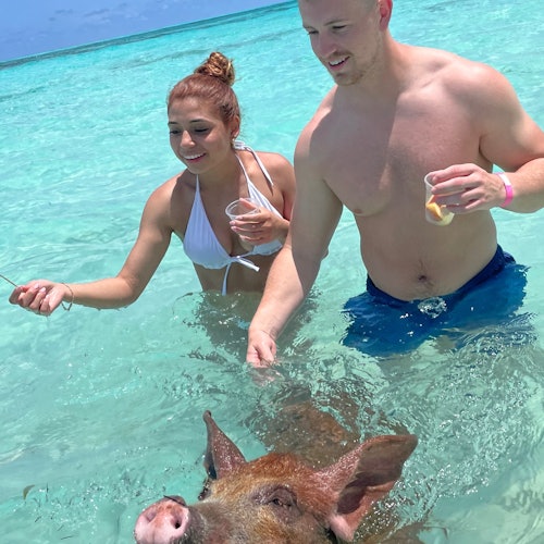 Bahamas: Boat Adventure with Swimming Pigs, Turtles & Snorkeling — gallery 2