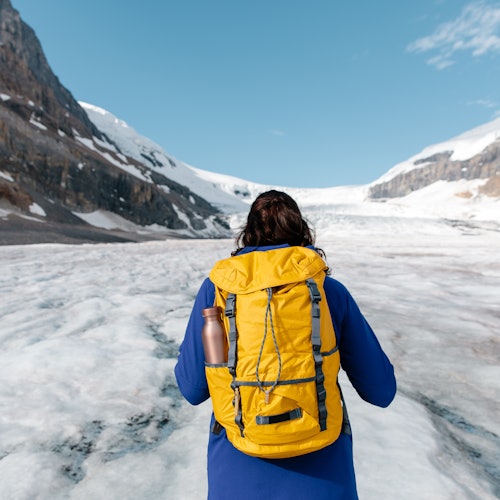 Columbia Icefield Discovery Centre: Ice Explorer Glacier Tour + Skywalk Entry