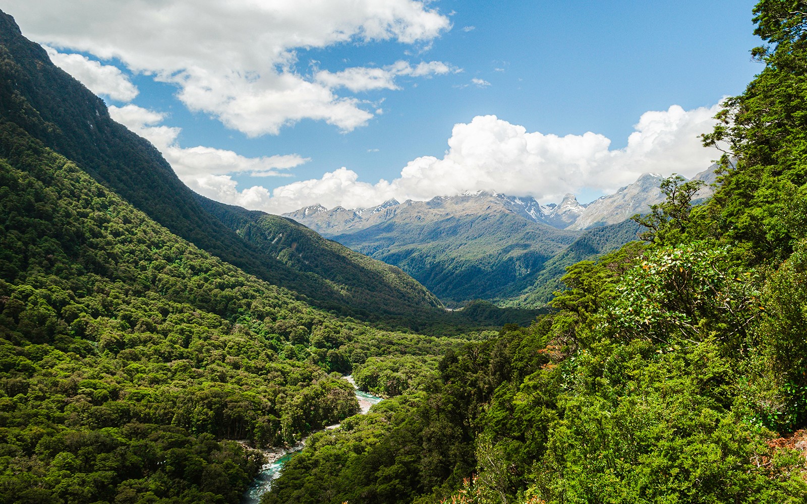 From Queenstown: Milford Sound Premium Small Group Tour with Cruise & Lunch