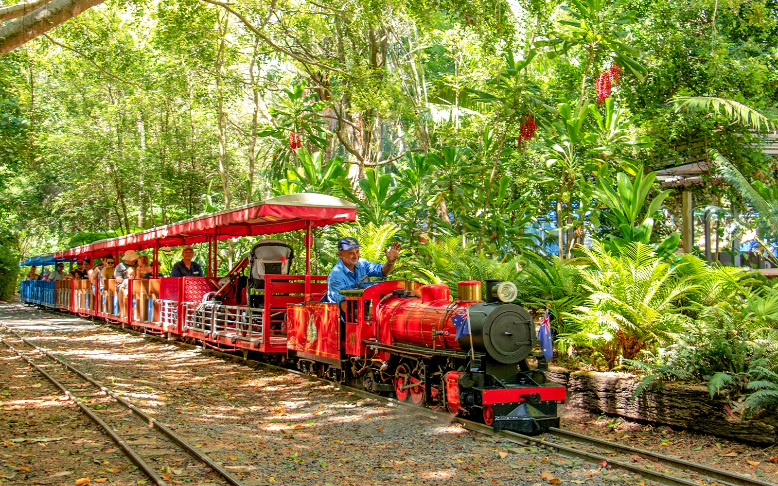 Currumbin Wildlife Sanctuary Tickets — gallery 3