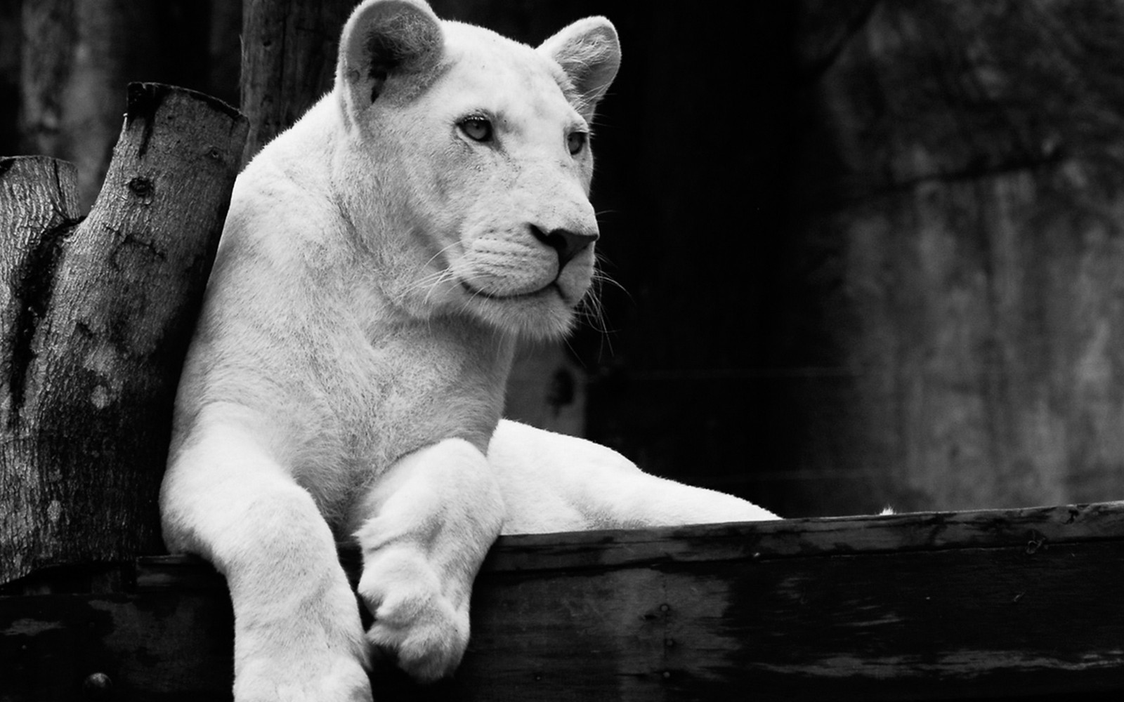 Tickets to Khao Kheow Open Zoo