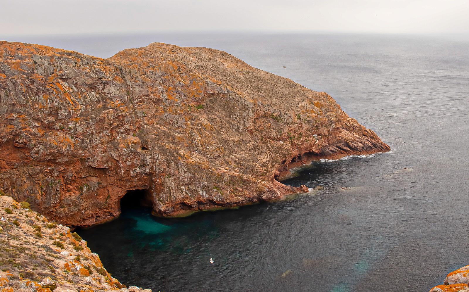 Tour to Berlenga Grande Island with Boat Trip to the Caves from Lisbon — gallery 3
