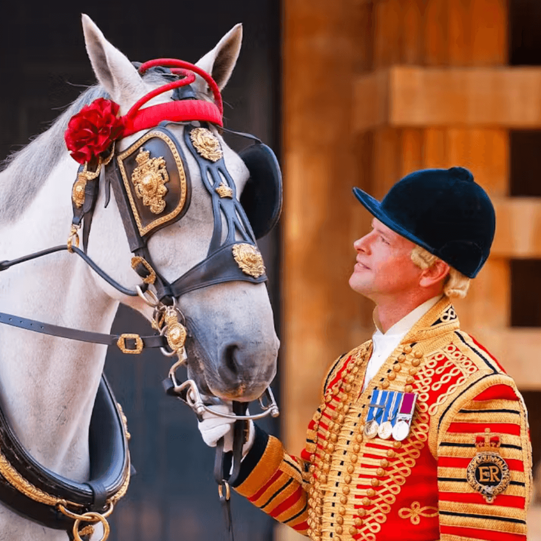 The Royal Mews at Buckingham Palace — gallery 3