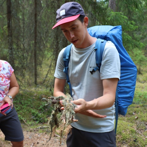 Helsinki: Magical Taiga Forest Hike — gallery 1