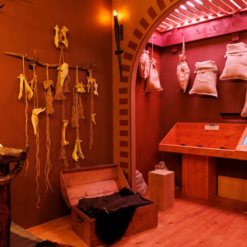 The Viking Immersive Exhibition: Entry Ticket — gallery 4
