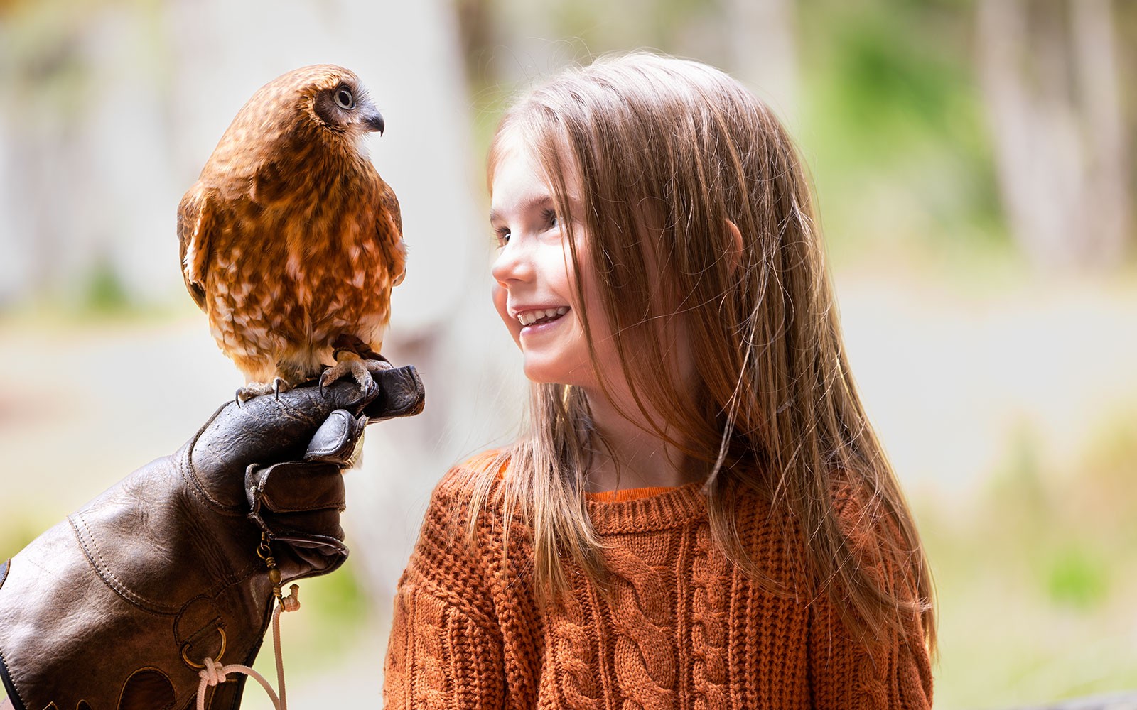 Margaret River: Capes Raptor Centre Tickets with Birds of Prey Show & Owl Photo