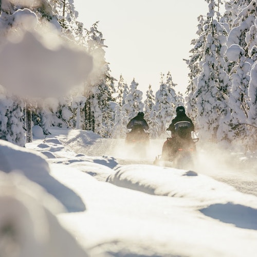Snowmobile Safari 1 Hour — gallery 2