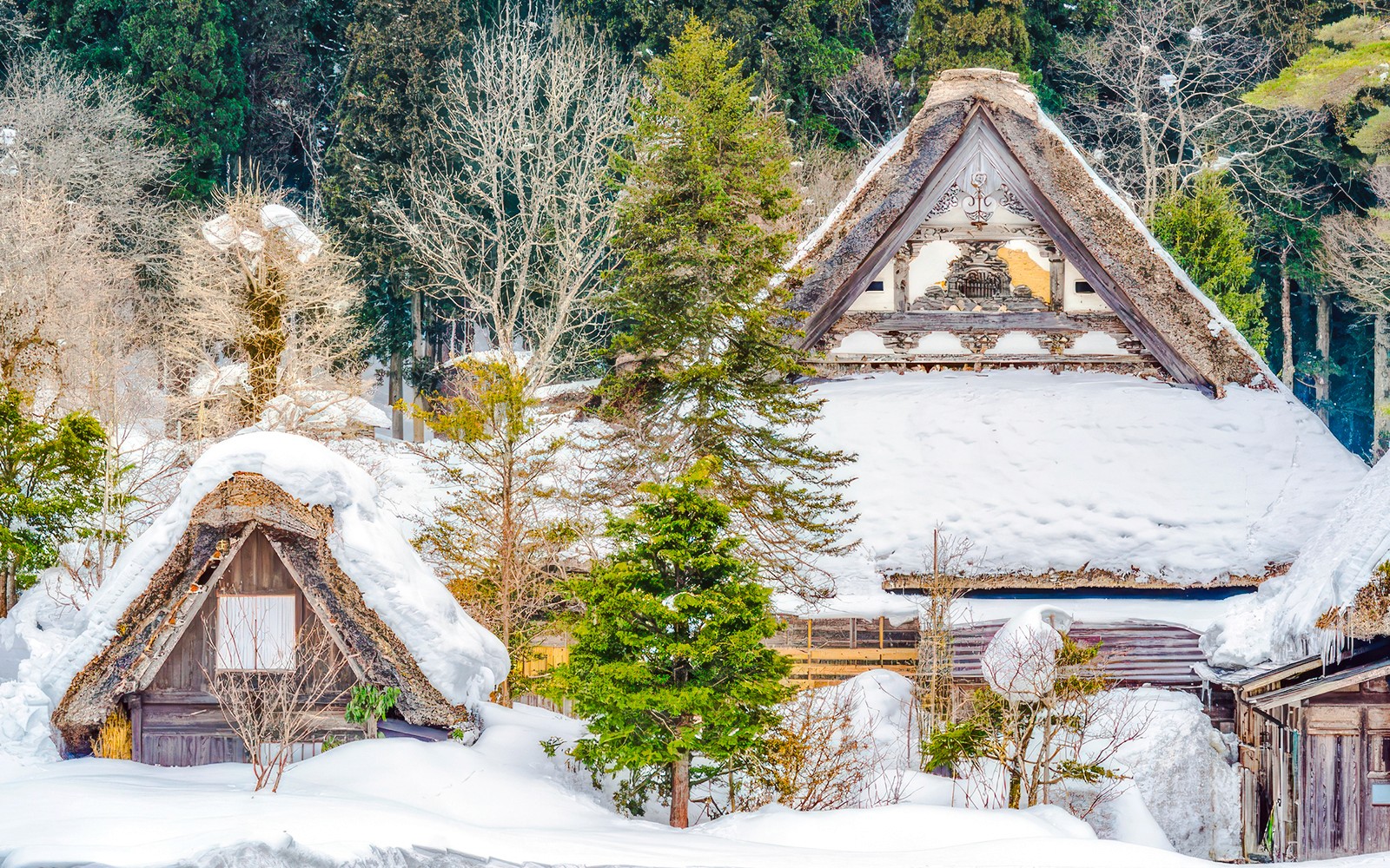 1-Day Guided Tour of Shiragawa-go and Takayama from Nagoya