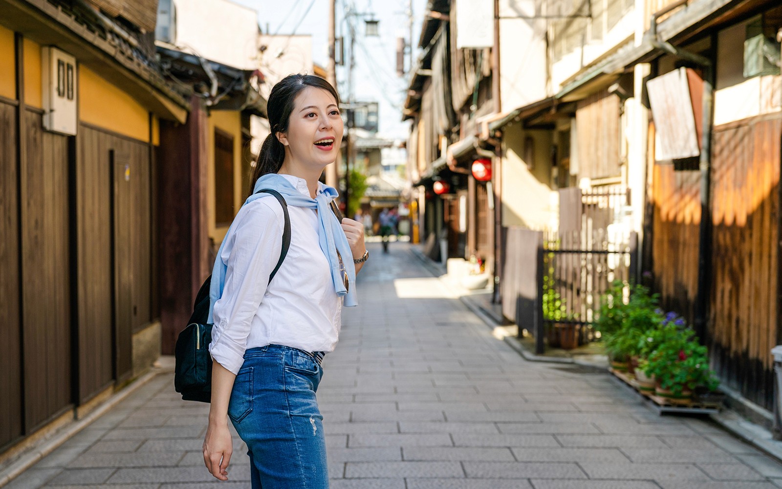 Kyoto & Nara by Private Car: Temples, Deer Park & Scenic Stops — gallery 3