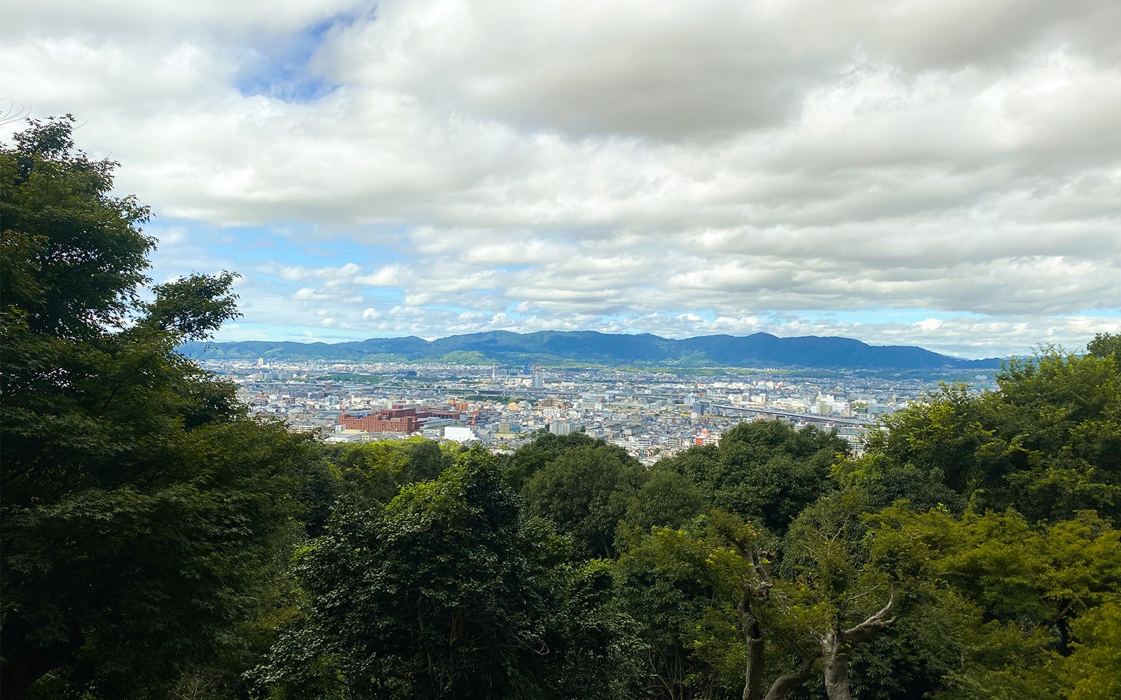 Discover Nara Kyoto and Fushimi Inari from Osaka