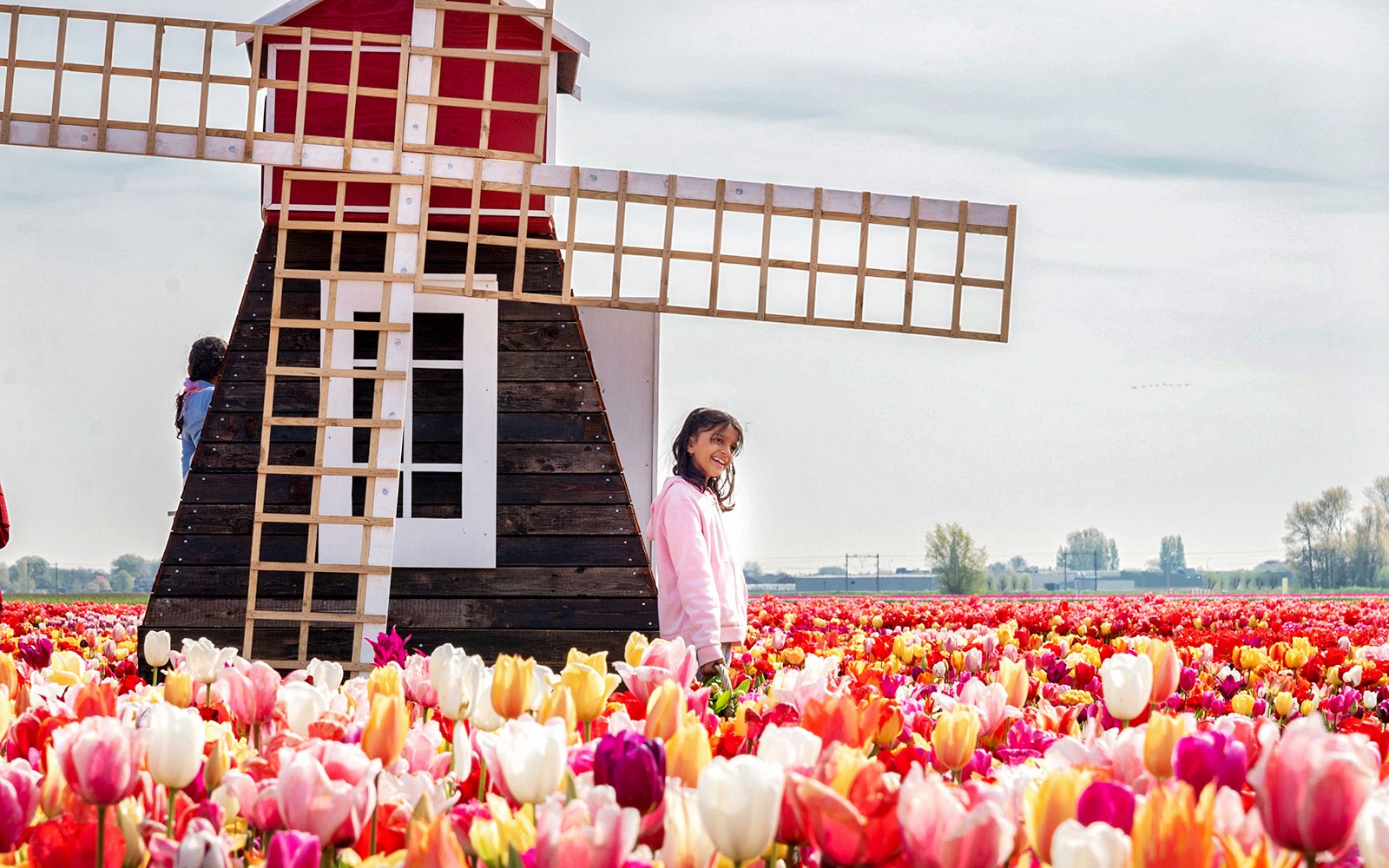 Tulip Experience Tickets with Tulip Fields Visit and Optional Transfers from Amsterdam