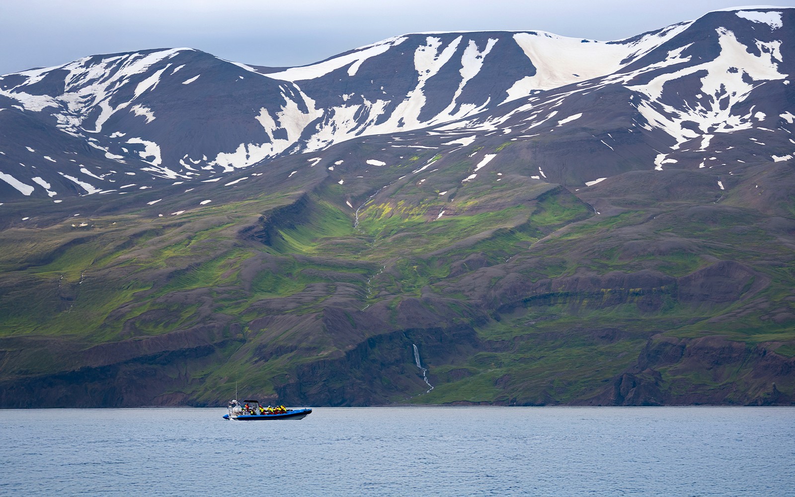 Husavik: Whale Watching and Puffin Tour on RIB speedboat — gallery 2
