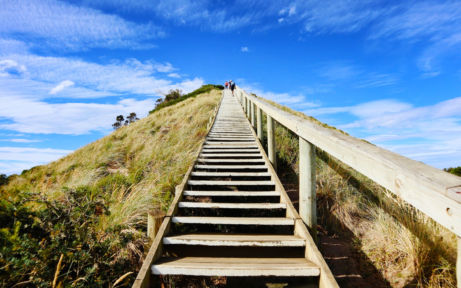From Hobart: Bruny Island Full-Day Guided Tour — gallery 3