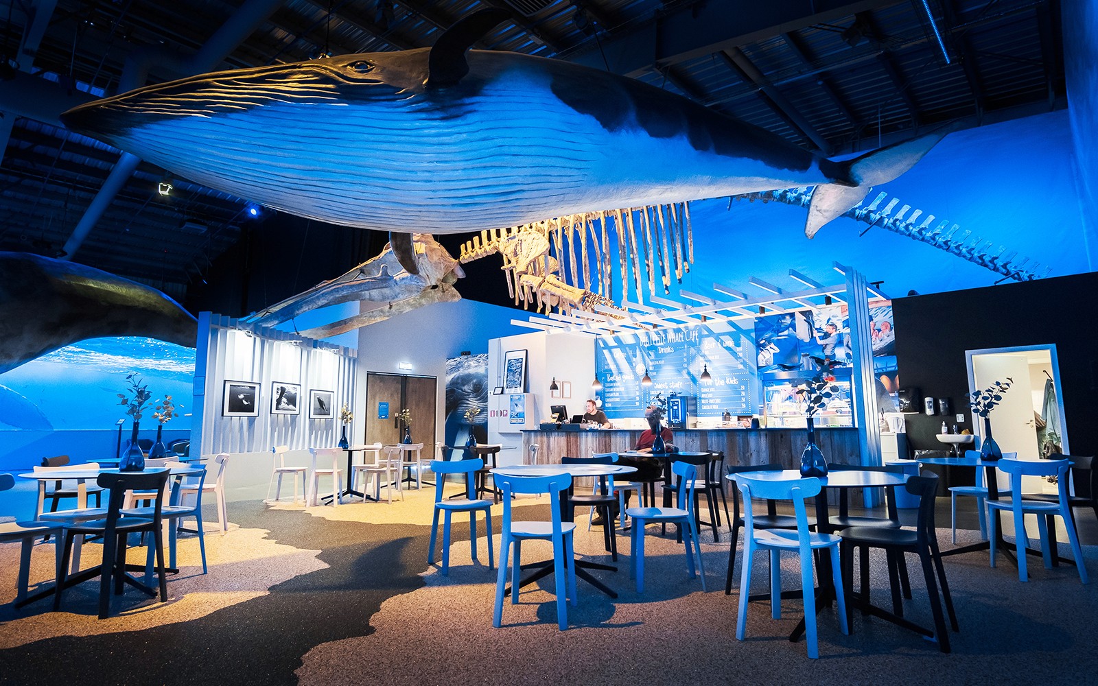 Tickets to Whales of Iceland Museum