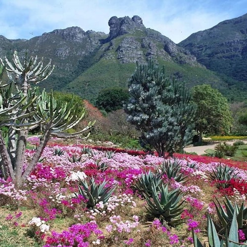 Robben Island & Groot Constantia: Entry Ticket + Boat Transfer — gallery 5