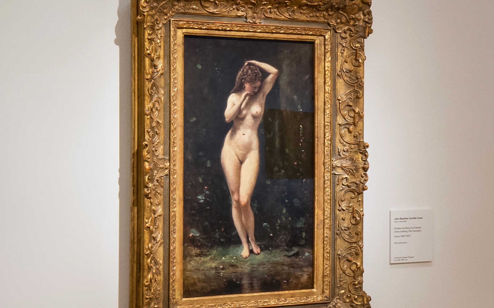 Thyssen-Bornemisza National Museum Guided Tour — gallery 5