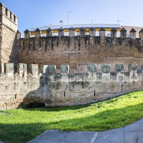 Seville: Macarena Guided Tour