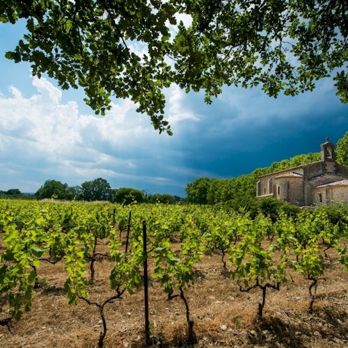 Albi, Cordes-sur-Ciel & Gaillac: Guided Tour from Toulouse + Wine Tasting — gallery 1