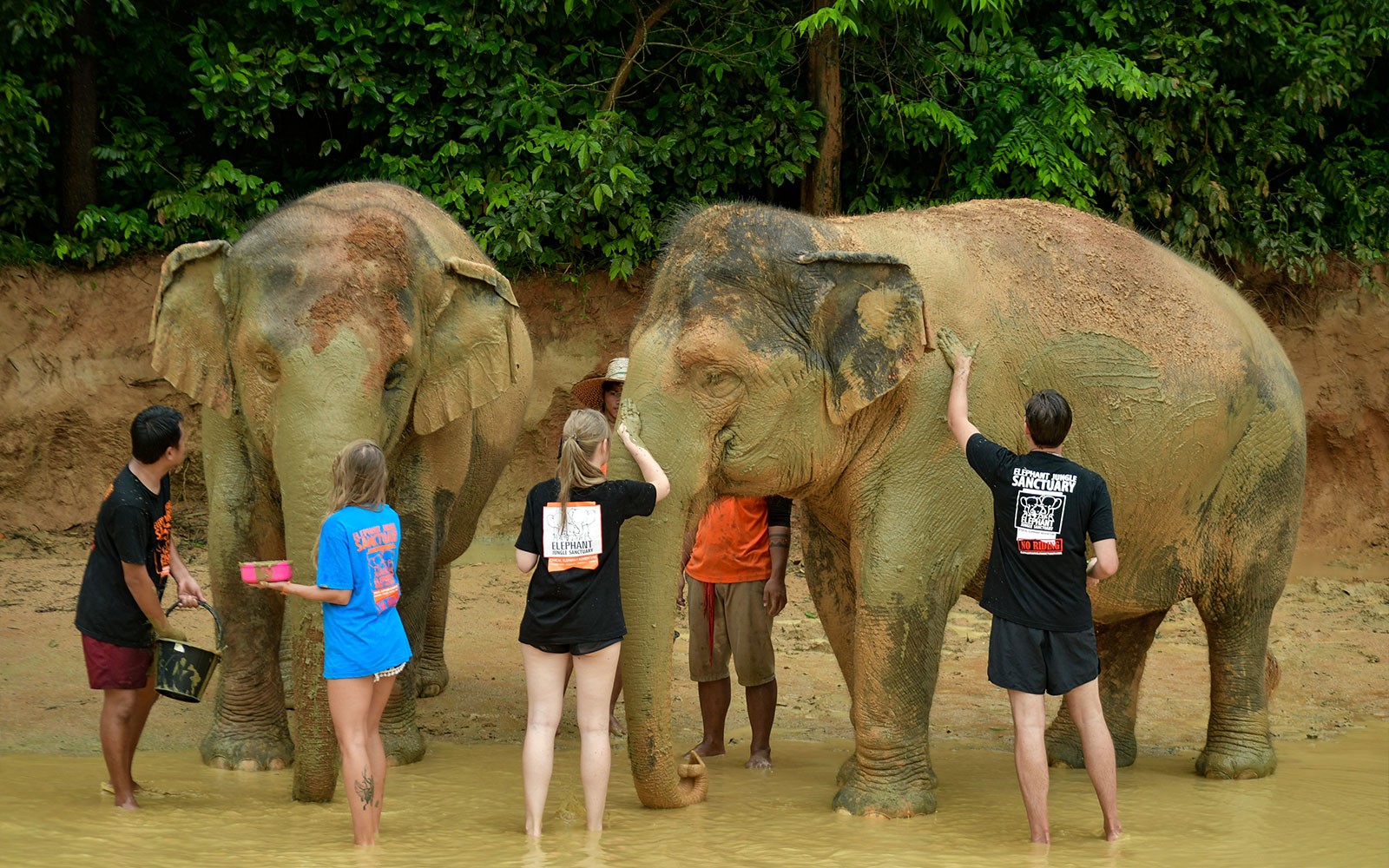 From Phuket: Bamboo Rafting, ATV Ride with Elephant Trekking & Bathing Experience — gallery 4