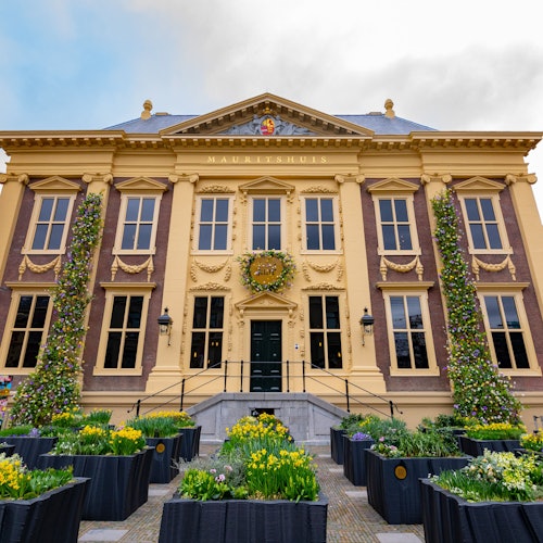 The Mauritshuis Museum: Entry Ticket — gallery 3