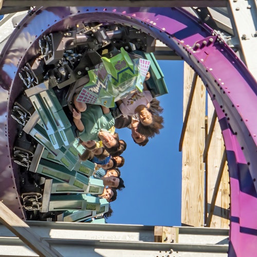 Busch Gardens Tampa: Entry Ticket with Optional Quick Queue — gallery 2