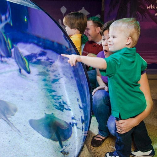 SEA LIFE Aquarium at American Dream: General Admission — gallery 1