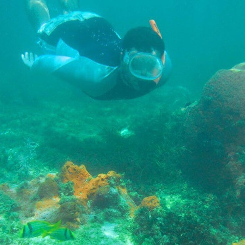 Double Dip Snorkel Trip — gallery 1