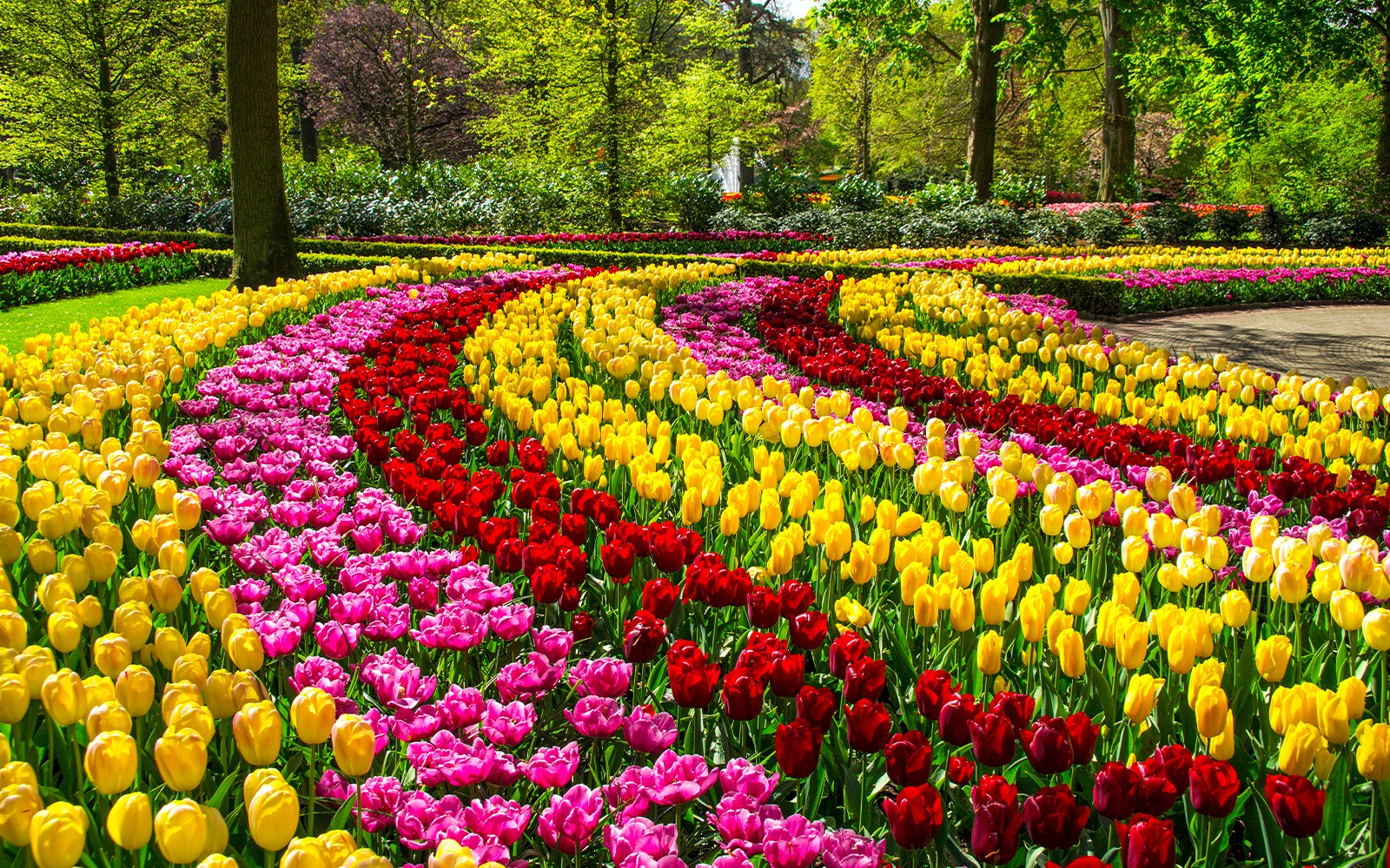 Tour to Keukenhof with Windmill Cruise from Amsterdam