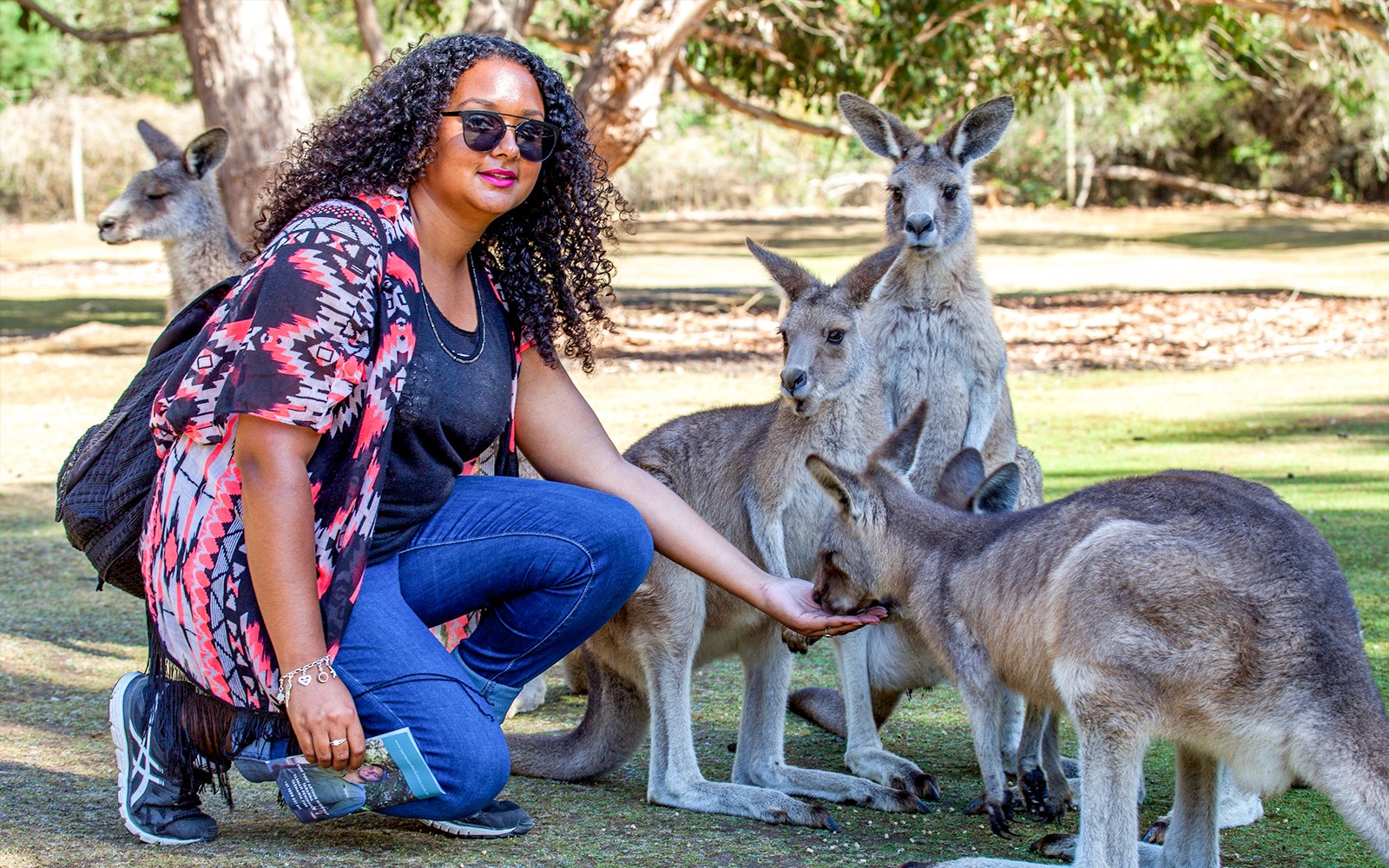 From Hobart: Port Arthur & Tasmanian Devils Guided Tour
