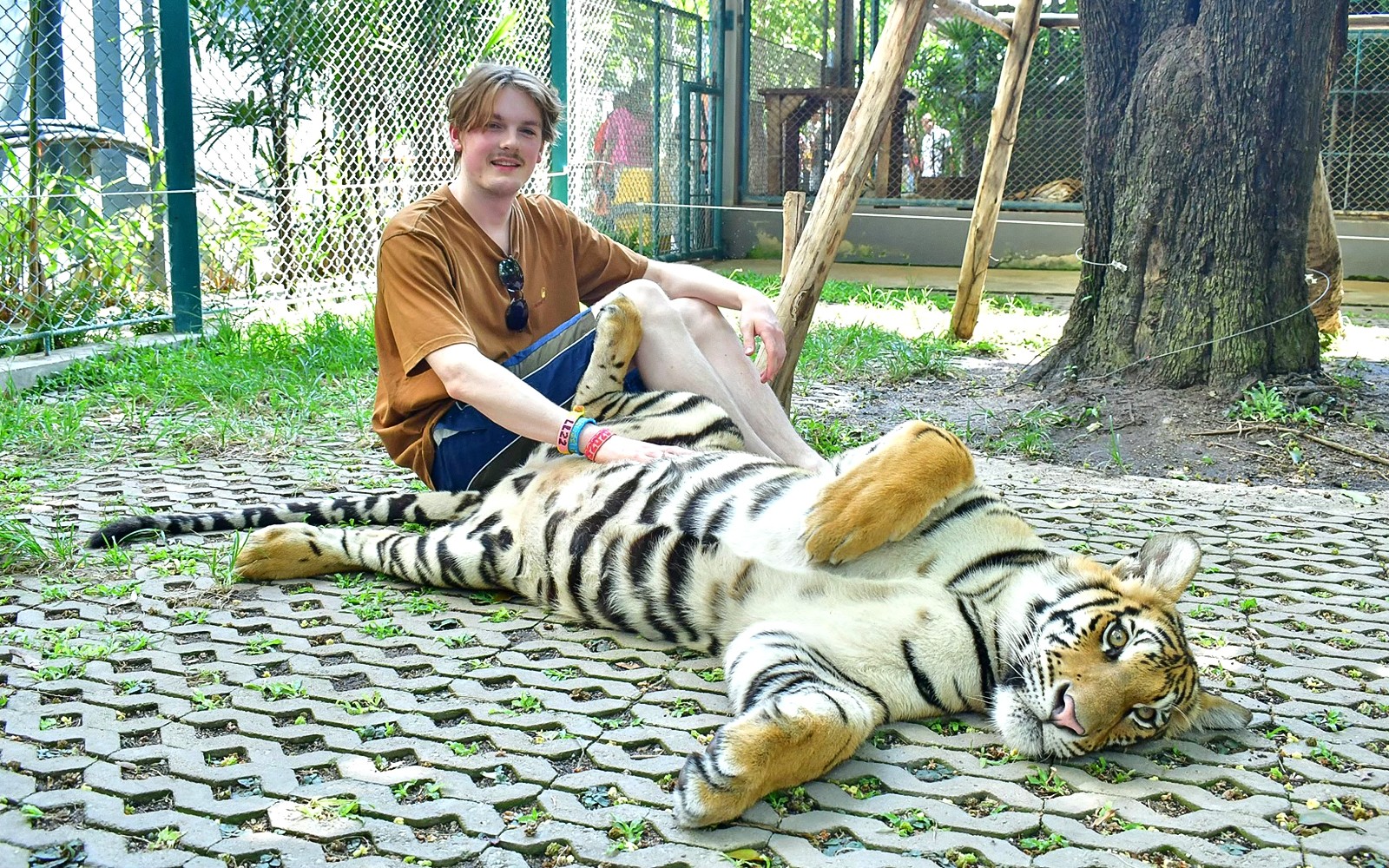 Tiger Park Tickets: Non-Thai Residents