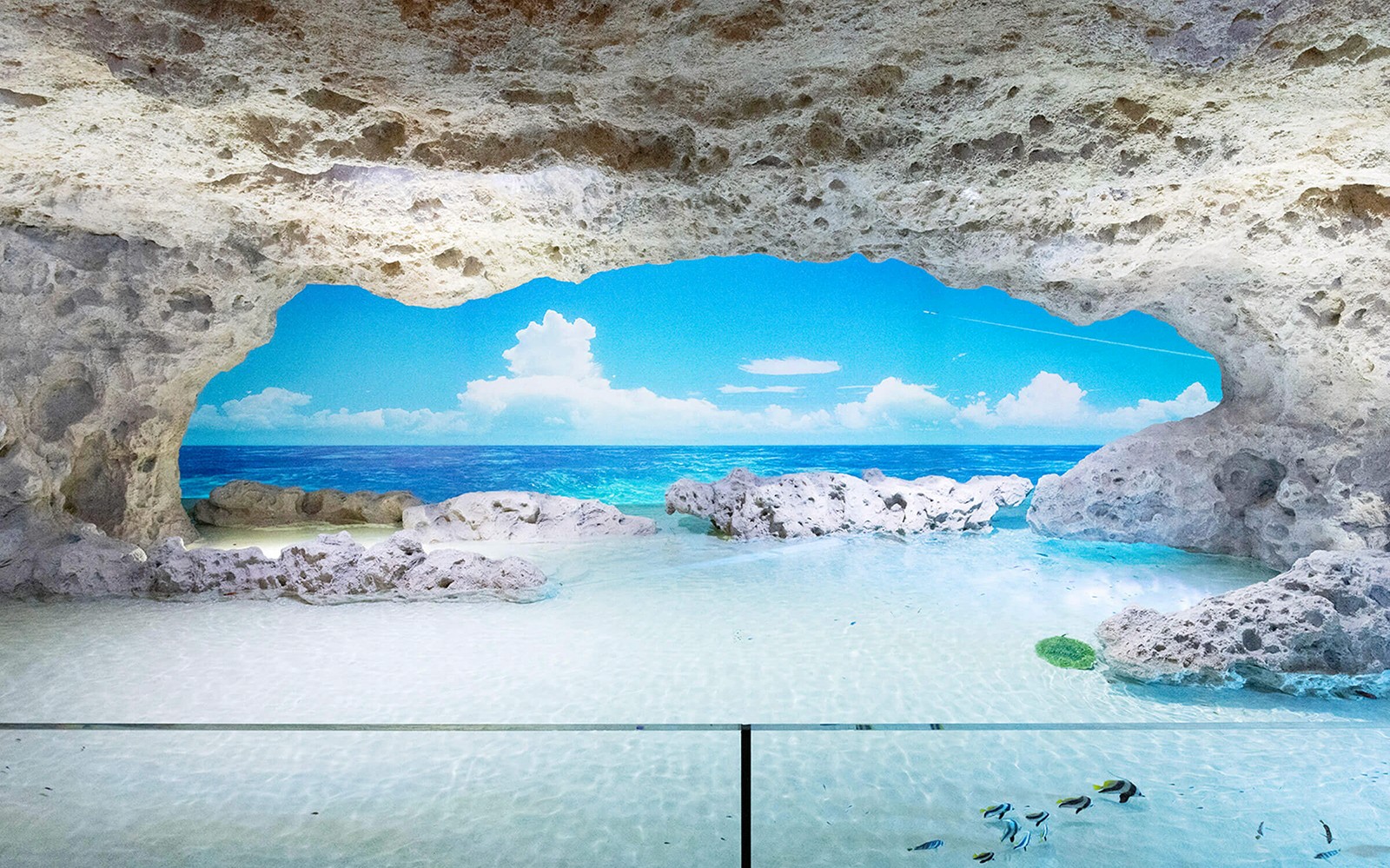 DMM Kariyushi Aquarium Admission Ticket
