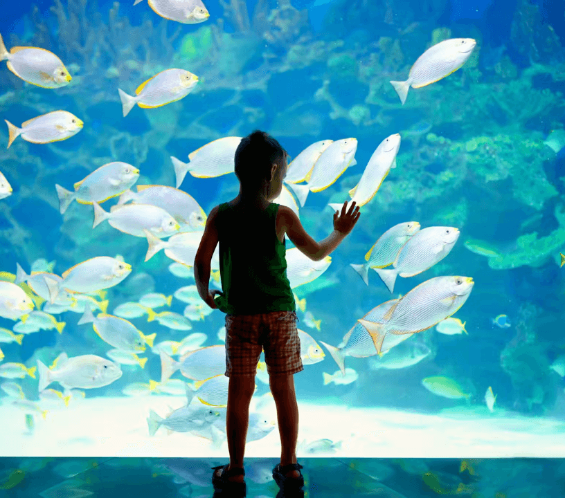 Oceanographic Museum of Monaco: Entry Ticket