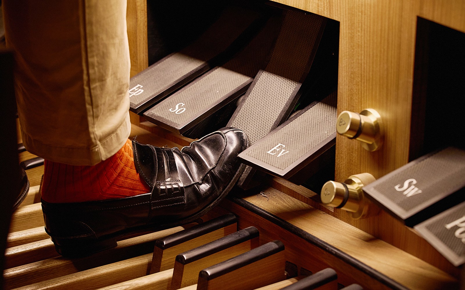 St. Stephen's Cathedral: Giant Organ Concerts Ticket