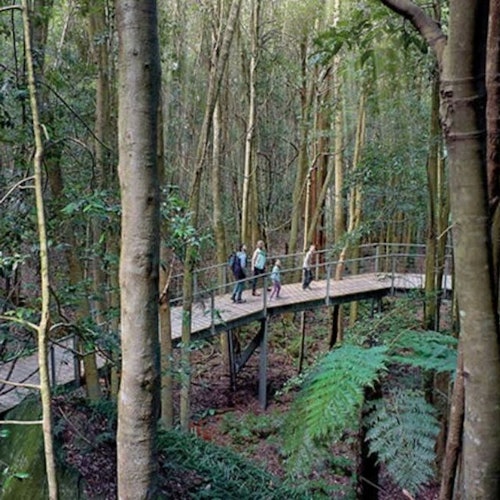 Blue Mountains National Park: Scenic World Pass — gallery 2