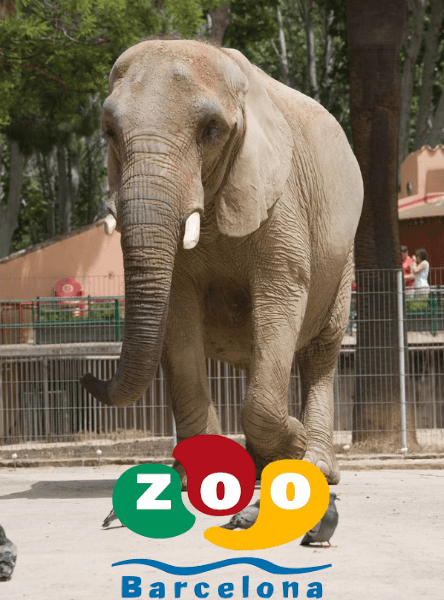 Tickets to Barcelona Zoo