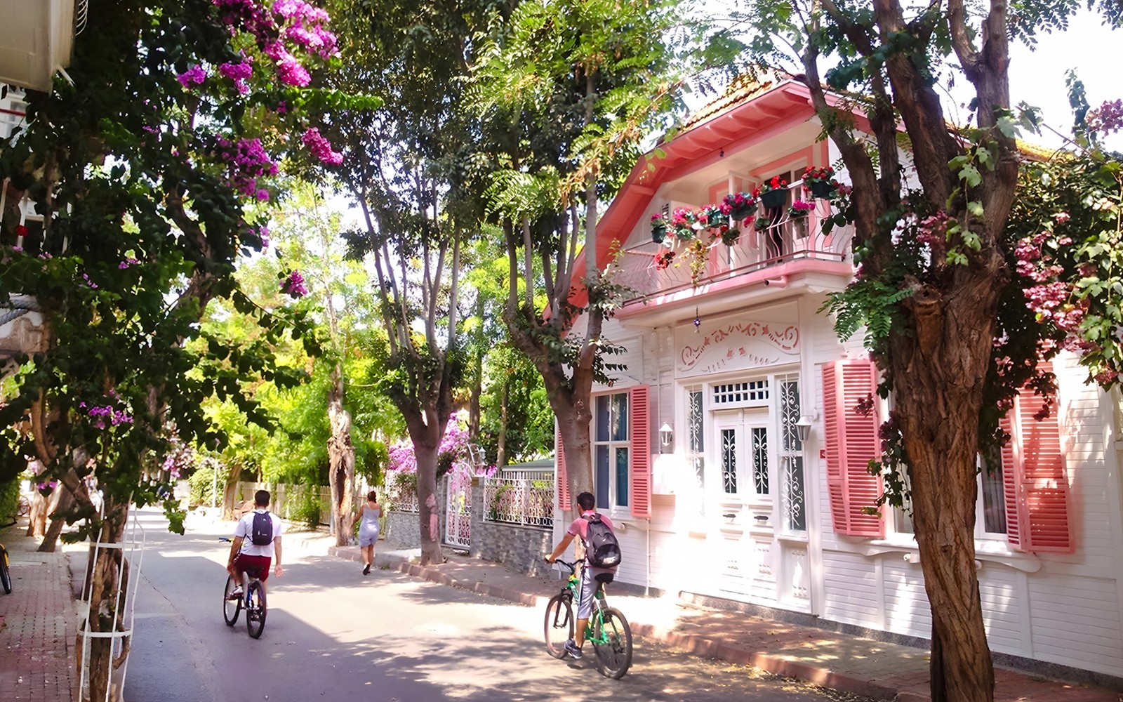 From Istanbul: Full-Day Princes’ Islands Tour to Heybeliada and Buyukada with Transfers — gallery 3