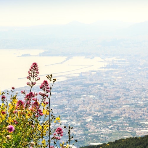 Pompeii & Mount Vesuvius: Skip The Line Ticket + Roundtrip from Naples — gallery 3
