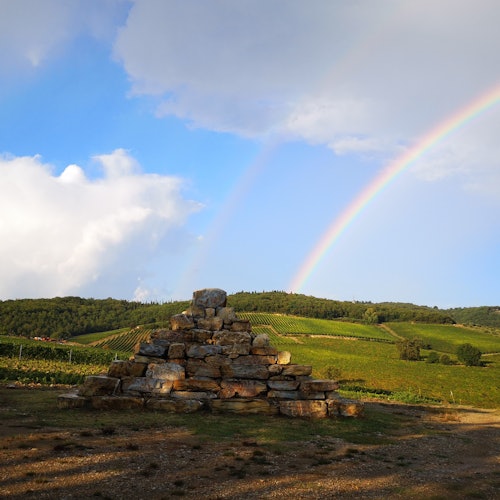 Siena: Wine Tasting + Bruschetta in Tuscan Vineyard — gallery 1