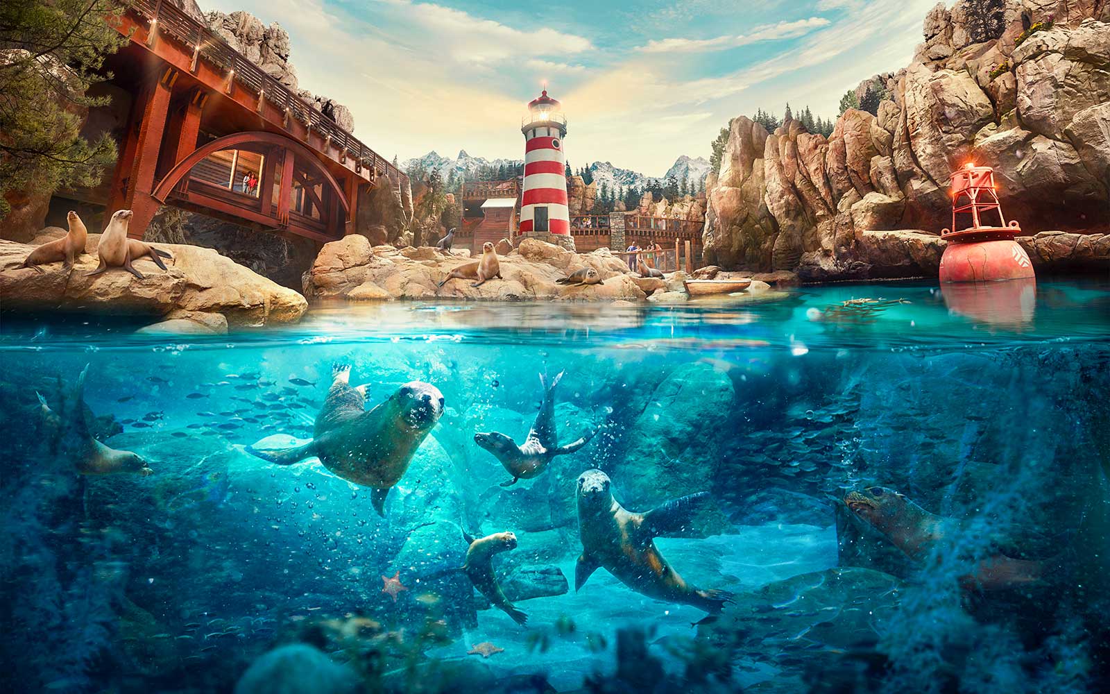 SeaWorld Abu Dhabi Tickets — gallery 2