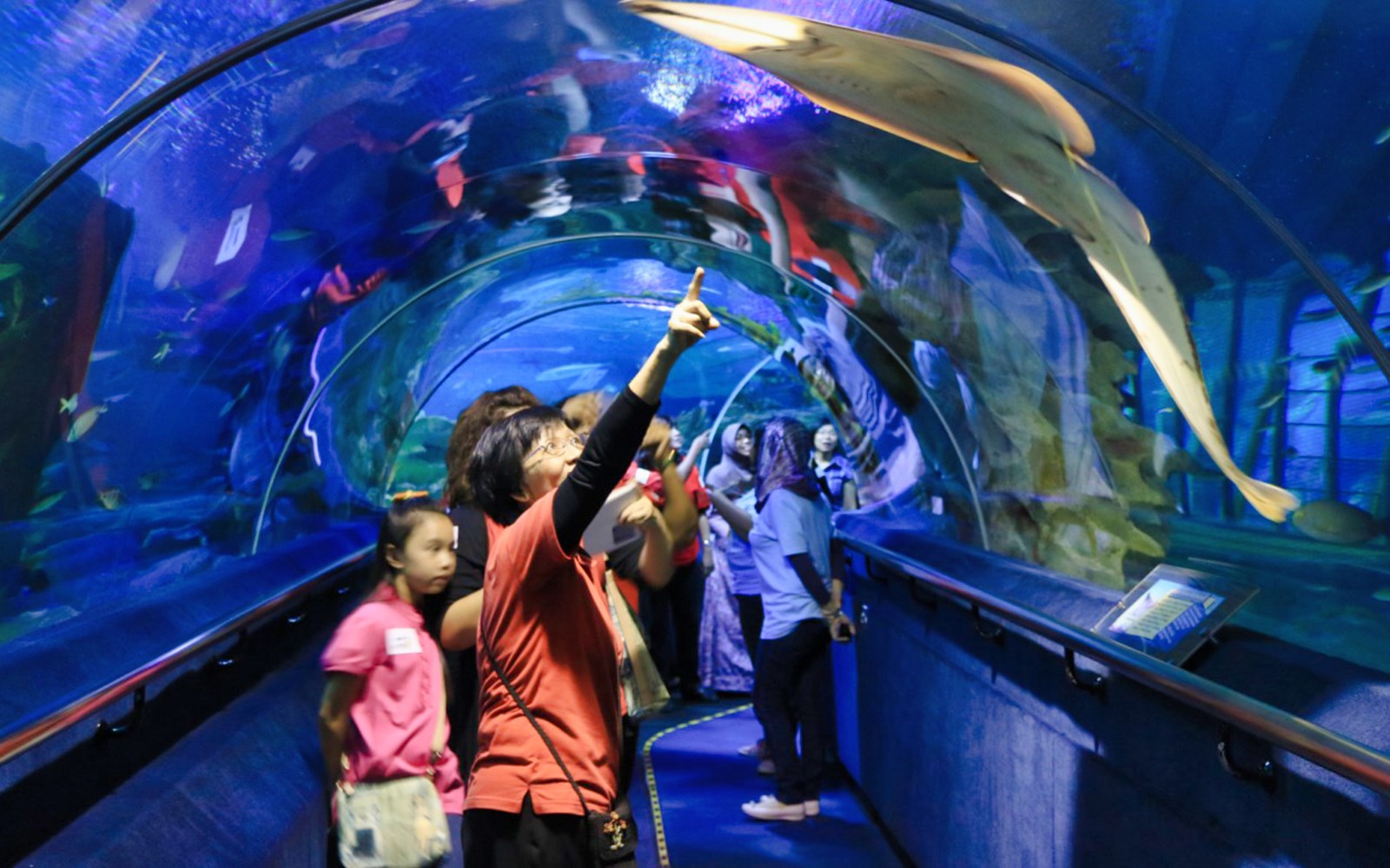 [Exclusive Promo] Aquaria KLCC Tickets — gallery 3